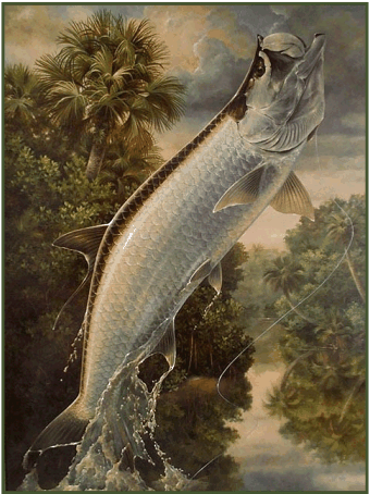 From oil painting: River Tarpon
