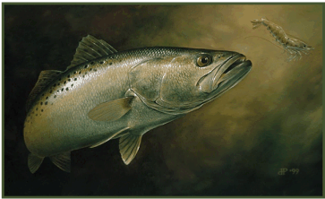 From oil painting: Trout and Shrimp